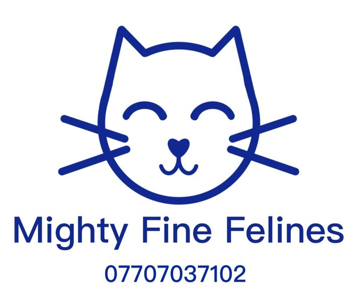 Mighty Fine Felines Mobile Cat Grooming Exeter, England
